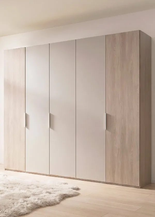 马来西亚定制平开门衣柜 — TD Furniture