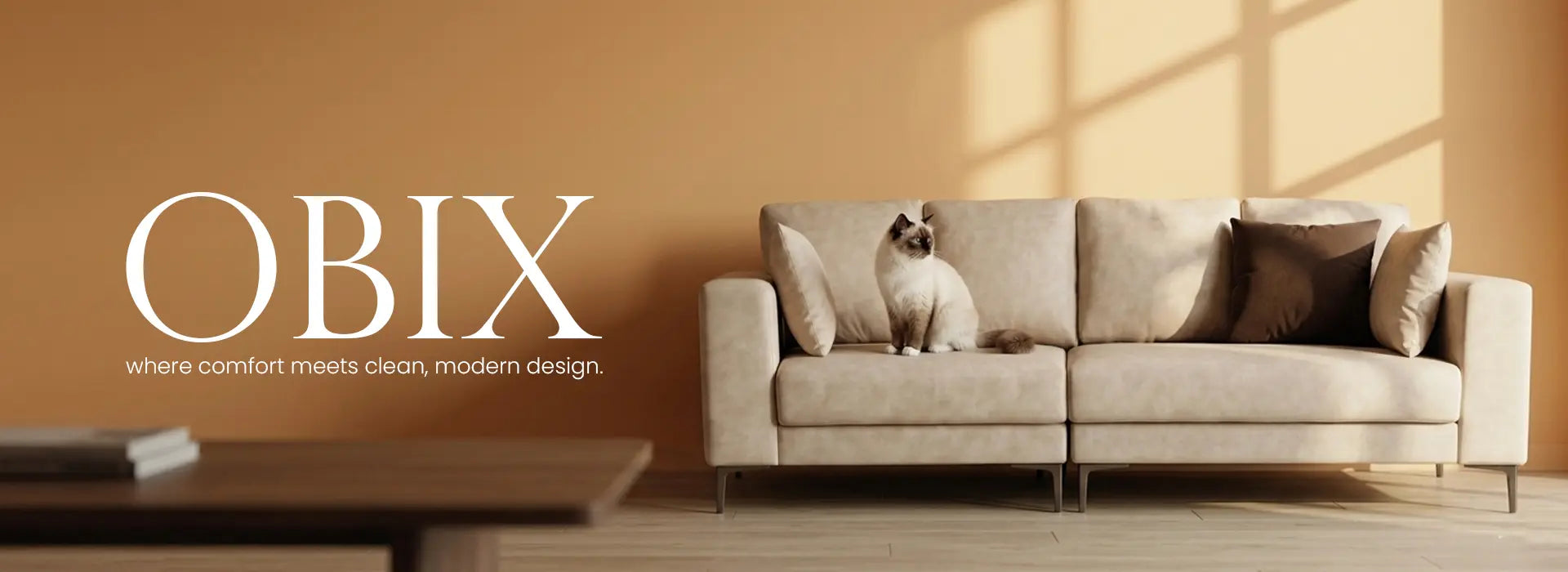 Beige sofa with a cat on it in a room with 'OBIX' branding.